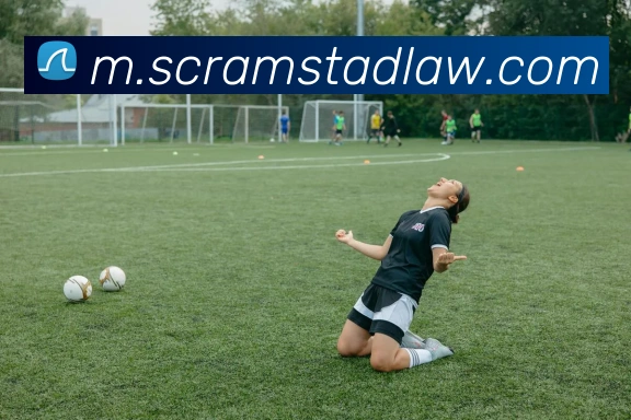 多彩内容专区